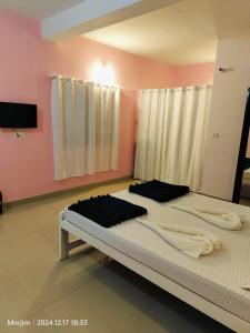 pink studio 300mtrs from morjim beach