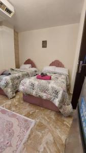 King of The pyramids