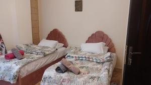 King of The pyramids