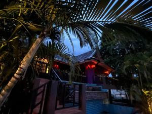 Purple House - Female only Boutique hostel