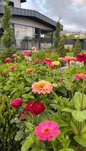 Luxury villa near Erciyes