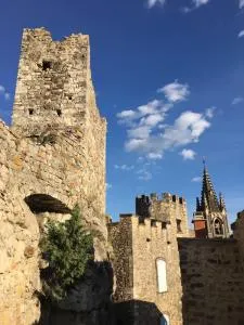 La Sarrasine - Saint-Julien-de-Peyrolas