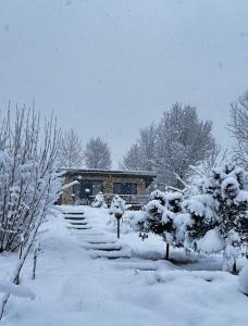 Holiday Home room in Pid Bukovynoyou