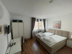 Raaz Pension - 奥伊斯基兴