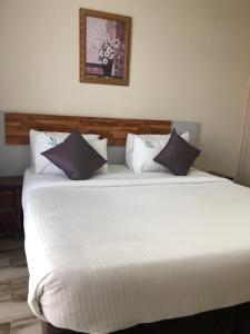 The best one bedroom in silverstone apartments