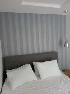 Vila Barselona Kopaonik