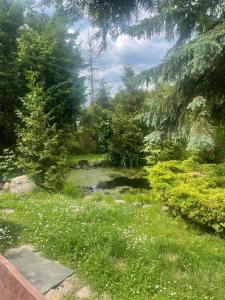 Apartament Skórcz Kociewie Pomorze Gdańskie Agroturystyka