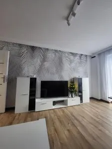 Mieszkanie centrum - Runowo