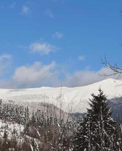 Гірські будиночки