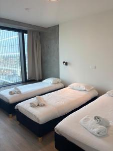 Beautiful Apartment with Panoramic View of center with roof terrace