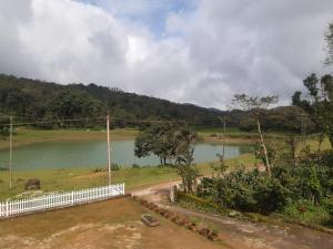 Athena Homestay