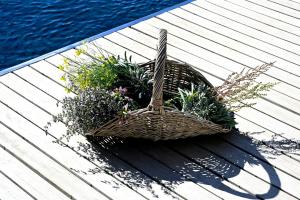 B&B / Chambres d'hotes La Suite Gordes : photos des chambres
