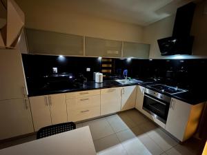 Apartament Bajeczny 87 - 5 min to Tauron Arena Cracow - beside the Vistula River