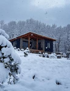 Holiday Home room in Pid Bukovynoyou