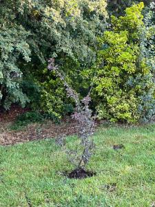 Hogar cerca Del Mar, Para Mayores de 30, No se aceptan grupos de jóvenes, No se acepta mascotas, No incluye blanqueria