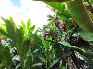 Casa de campo Aguinaldo