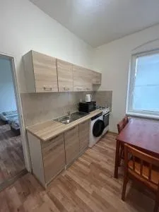 Apartmán v Karlových Varech pro 4 osoby - Stará Role