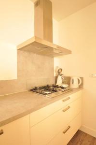 Vrijvakantiehuis Badstraat 2