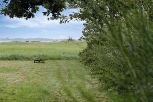 House By Forest And Roskilde Fjords Waves