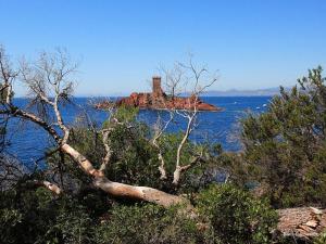 Appartements Appartement 3 pieces climatise avec garage, proche plage a Frejus - FR-1-226A-72 : photos des chambres