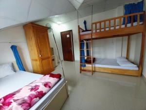 Giường Tầng Trong Phòng Ngủ Tập Thể Cho Nam Và Nữ (Bunk Bed in Mixed Dormitory Room)