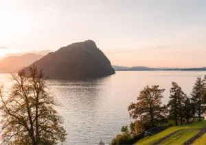 菲茨瑙阿尔卑斯植被湖泊与研讨会酒店 - Arth