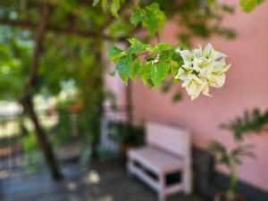 Casa Donnaju prox Avenida das Cataratas