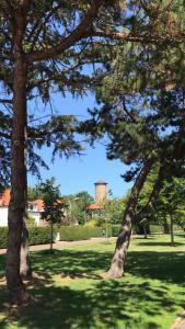 Vrijvakantiehuis De Broodkiste