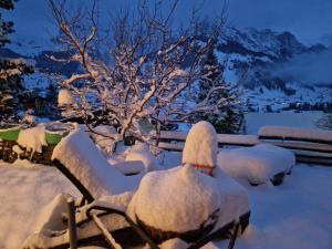 Chalet Gotthelf Gartenstudio, Ferien mit Hund