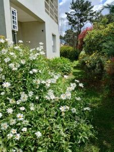 Moradas Odoiá La Caleta