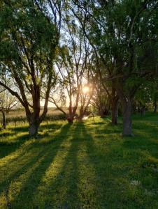 Moradas Odoiá La Caleta