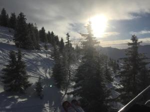 Appartements Y Hotes- Ambiance Montagne T2 Station Hirmentaz : photos des chambres