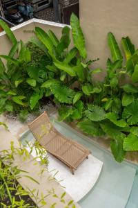 Juli Villas - Tropical villa 200m2 with pool in Canggu - Pererenan