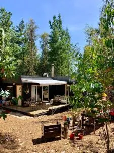 Cabaña en el Bosque - Isla Negra