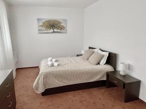 Large One Bedroom with Terrace next to the Ski Lift