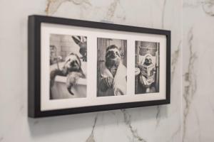 Capitol Apartment Belgrade