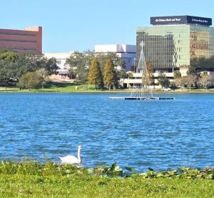 Charming Historic Studio Cottage