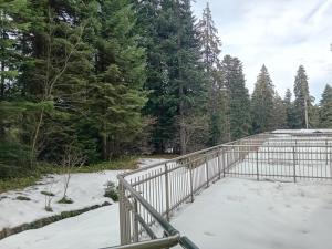 STUDIO B&K in FLORA BOROVETS