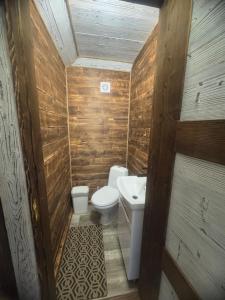 Живописні карпати люкс