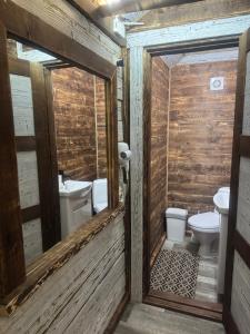 Живописні карпати люкс