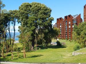 Departamento Puntilla Villarrica acceso al lago full equipado