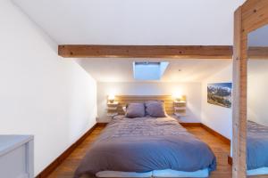 Appartement style loft Chamonix