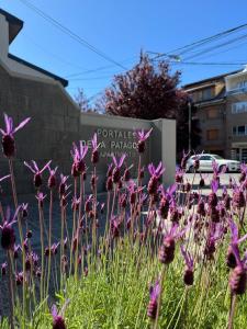 Portales de la Patagonia Apartments