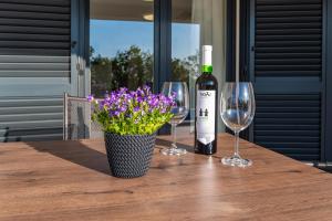 Apartment ILUX-1
