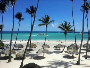 50 Steps to Private Beach Poolside Rooftop Terrace