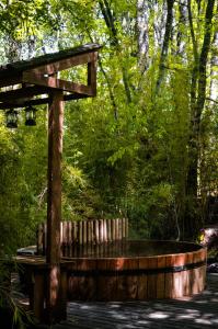 Refugios Australes en Corralco