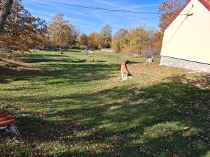 Guest House Vujošević