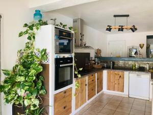 Modern villa with pool