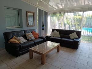 Modern villa with pool