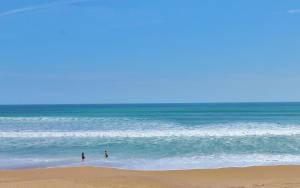 Sea Coast Gardens III 215